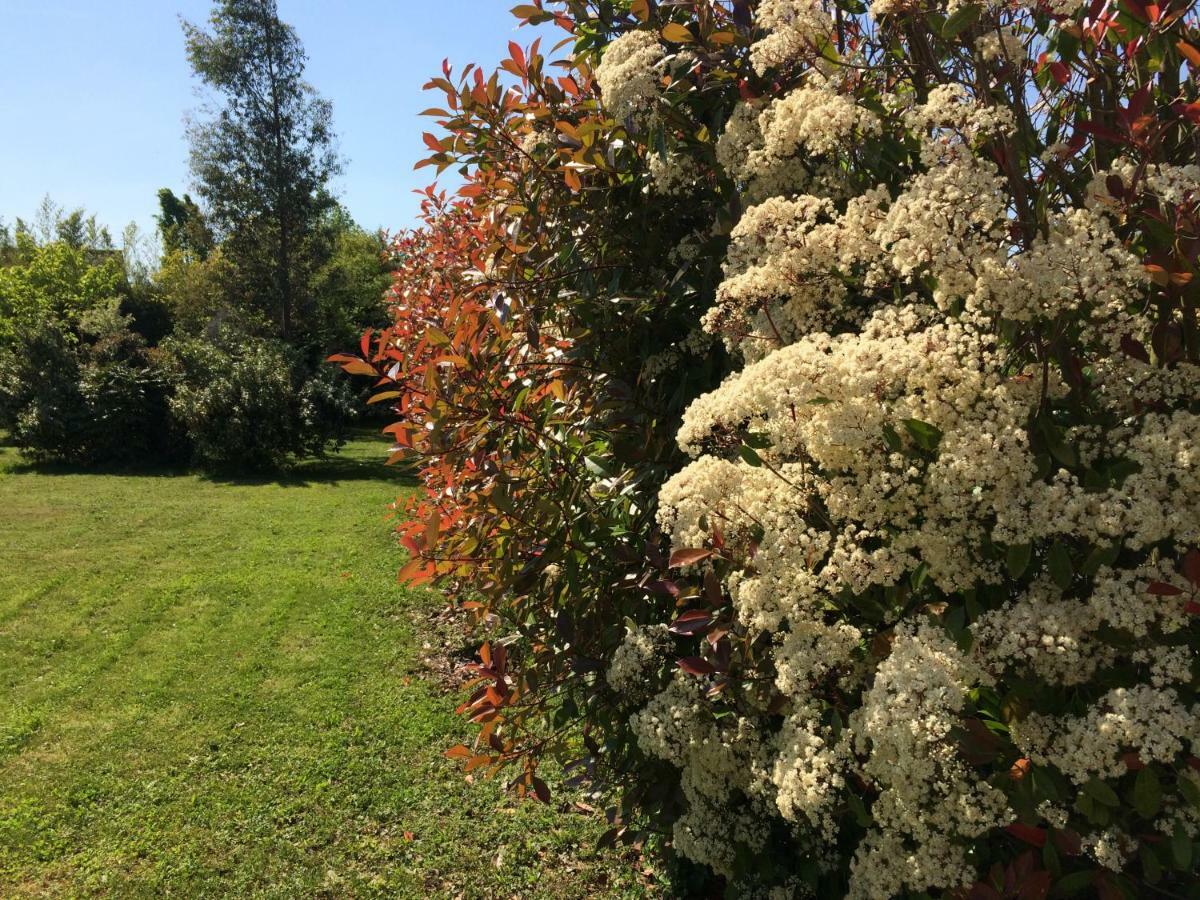 Cottage La Villa Bolero Saint-Cyr-sur-Loire Kültér fotó